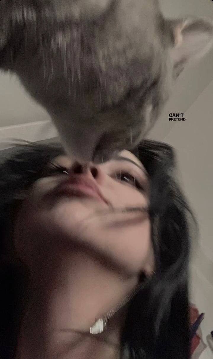 kittaa