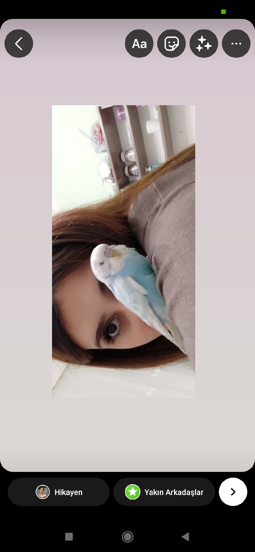 gulhasil