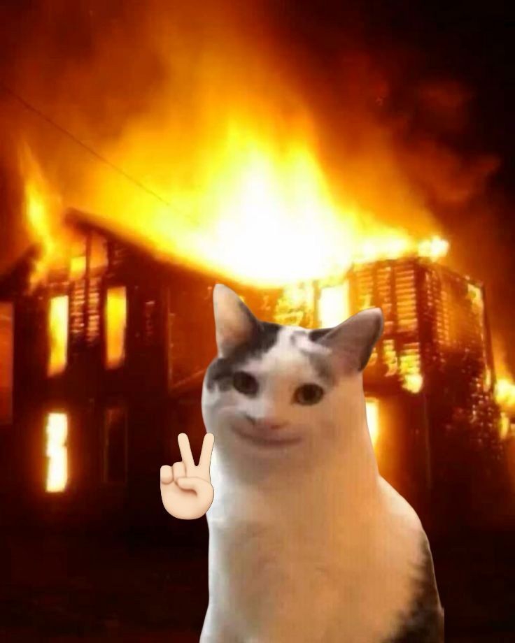 kitapdelisiyim