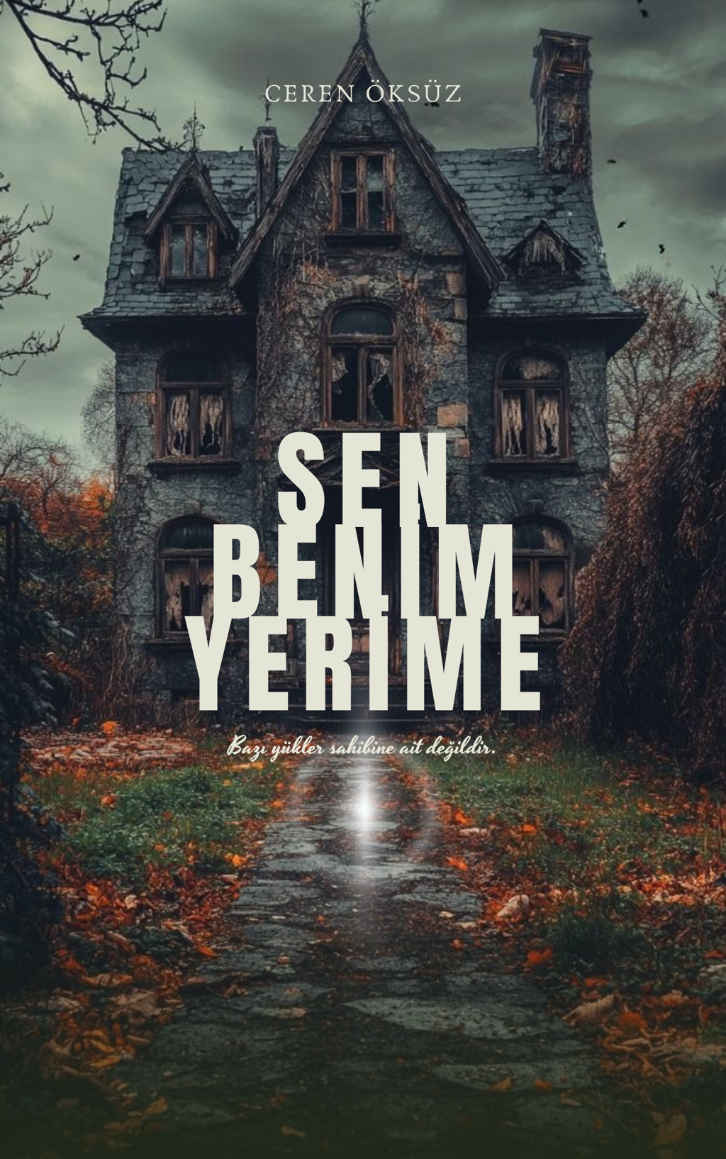 Sen Benim Yerime