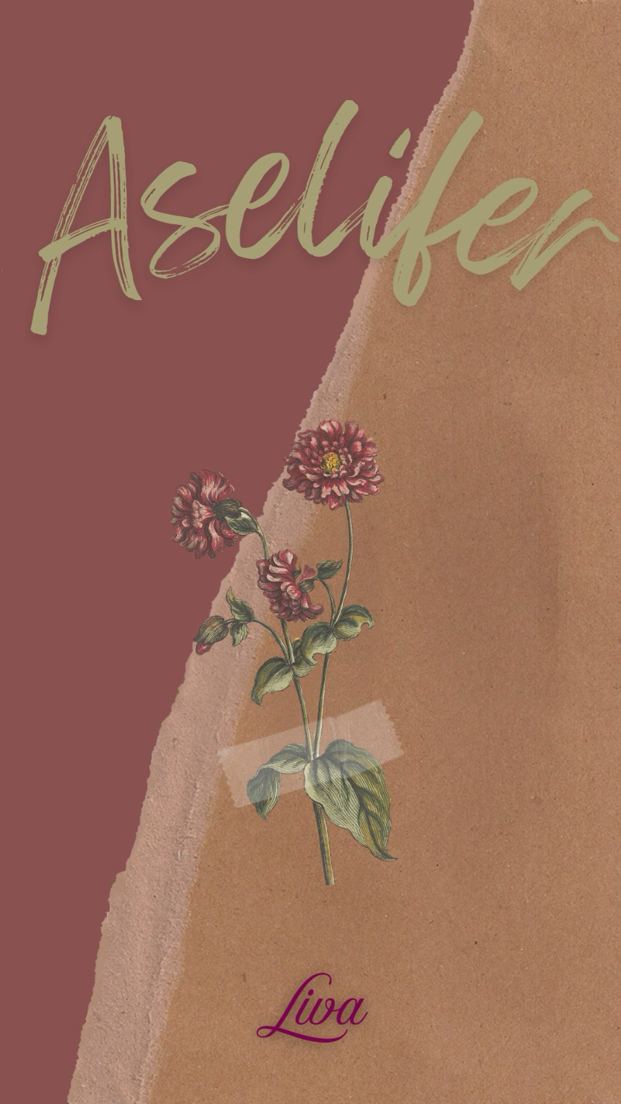 Aselifer