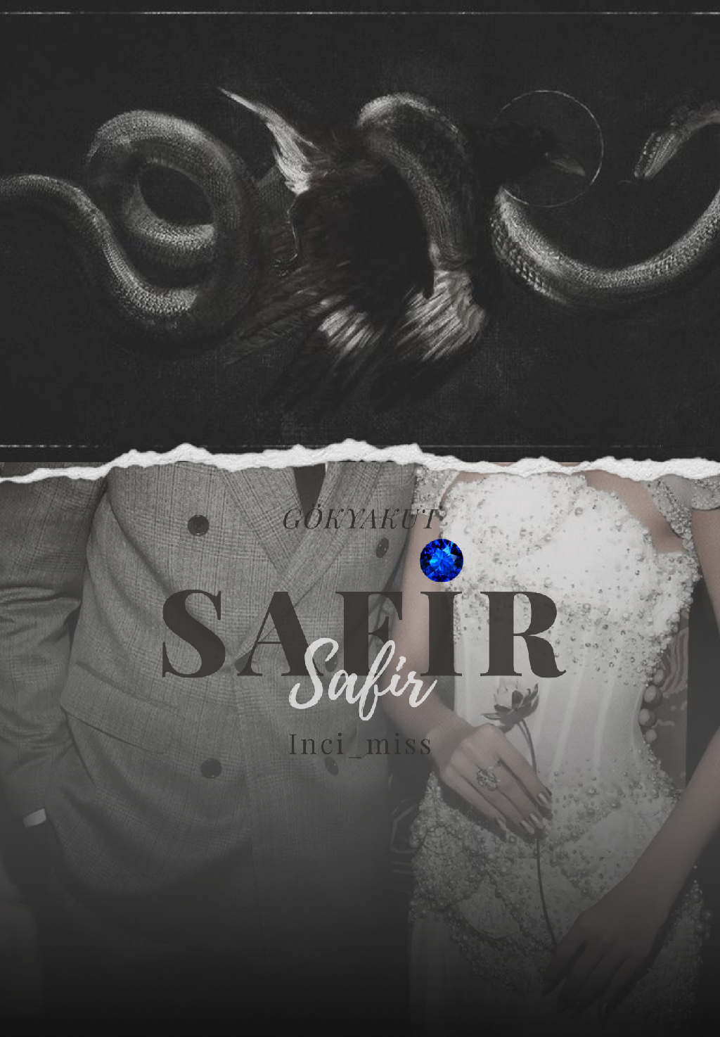SAFiR