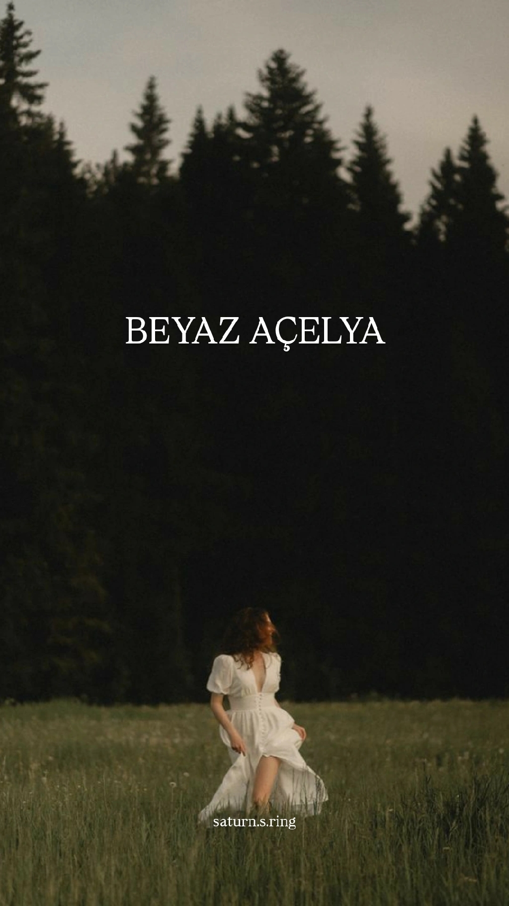 Beyaz Açelya