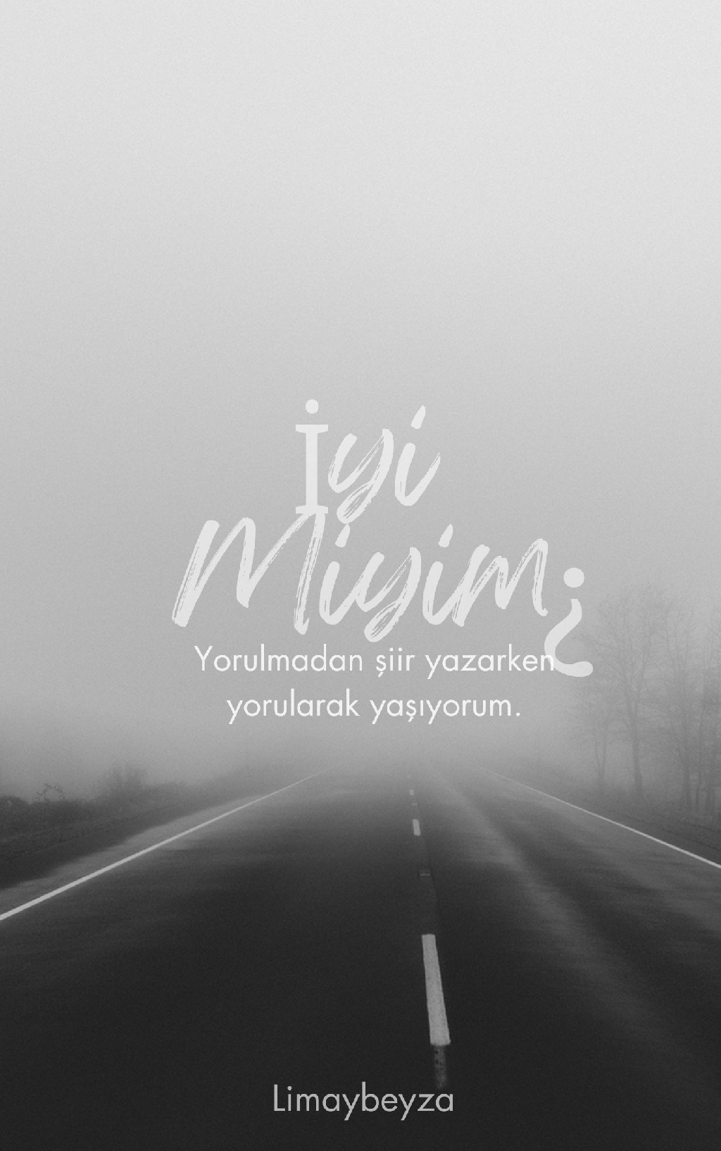 İYİ MİYİM¿2 (şiir)