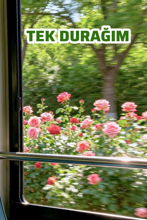 TEK DURAĞIM