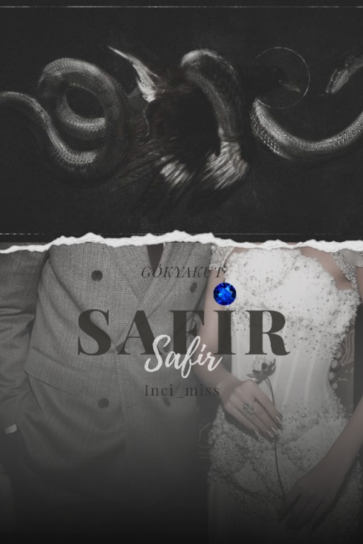 SAFiR