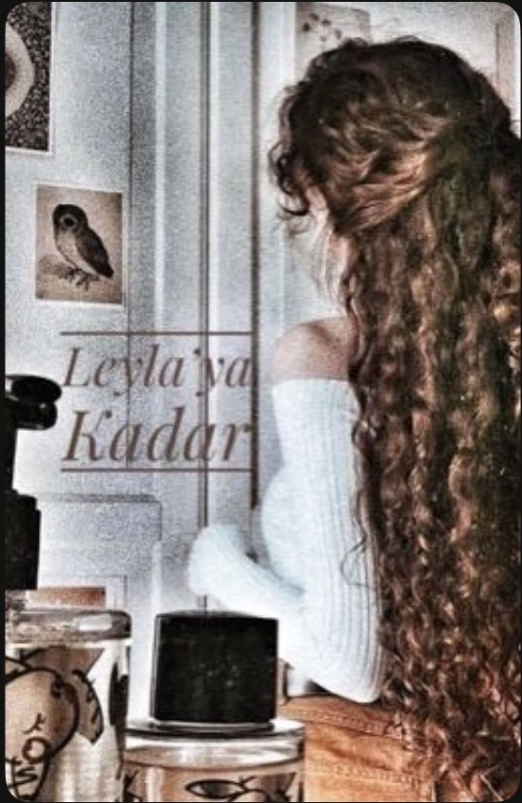 Leyla’ya Kadar