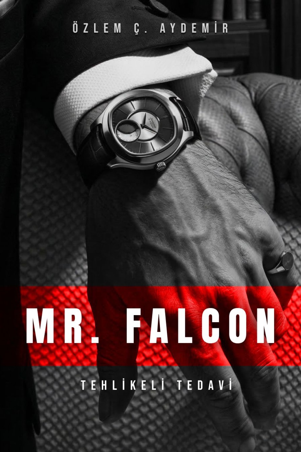 MR. FALCON