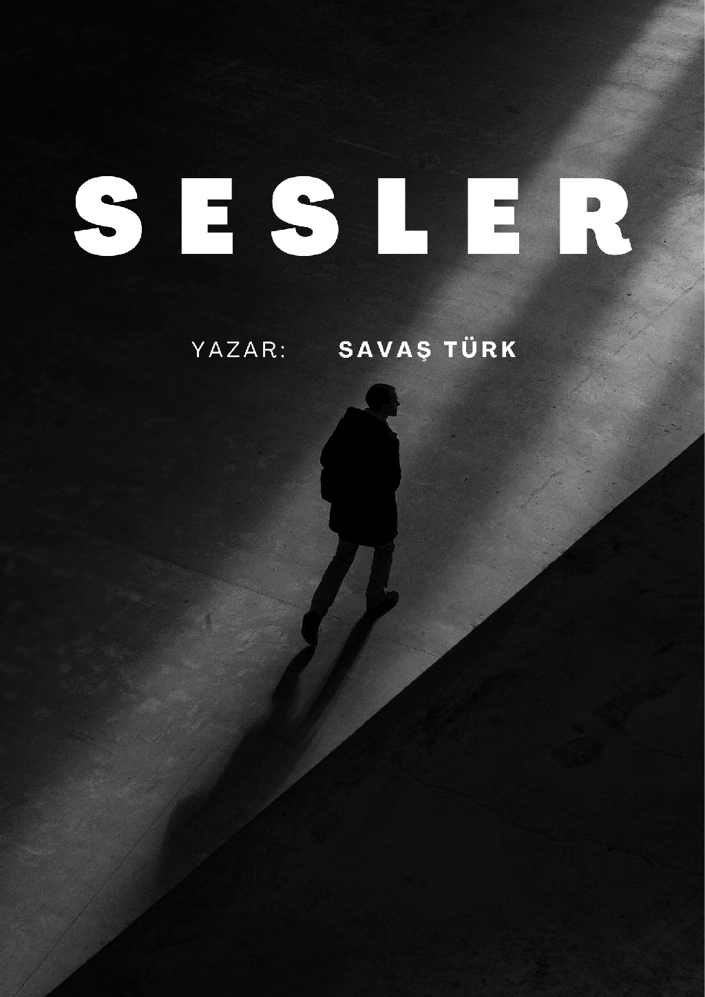 Sesler 