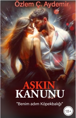 (MİLYARDER 1) AŞKIN KANUNU