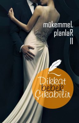 DİKKAT BEBEK ÇIKABİLİR (Mükemmel Planlar Serisi 2)