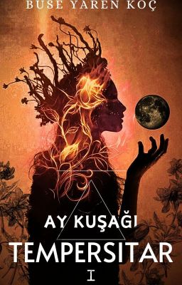 TEMPERSITAR : AY KUŞAĞI I